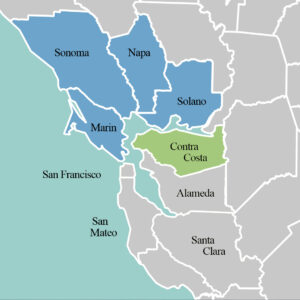 Vine & Stone Residential Real Estate