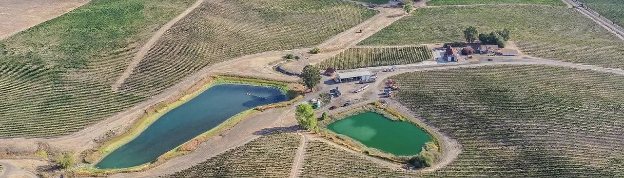 Sonoma Residential Real Estate